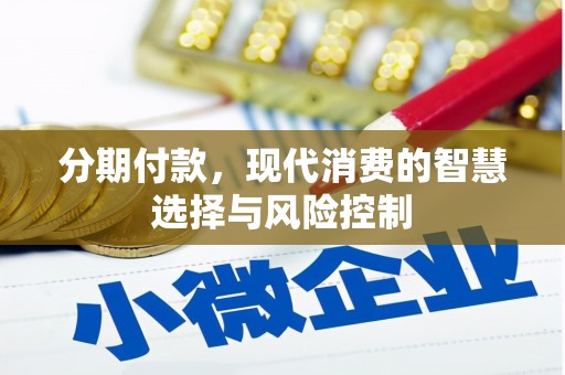 应县分期付款，现代消费的智慧选择与风险控制