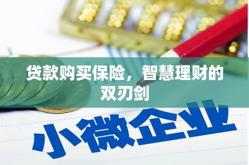 应县贷款购买保险，智慧理财的双刃剑