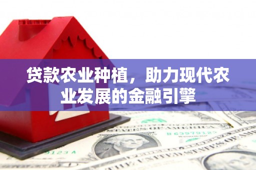 应县贷款农业种植，助力现代农业发展的金融引擎