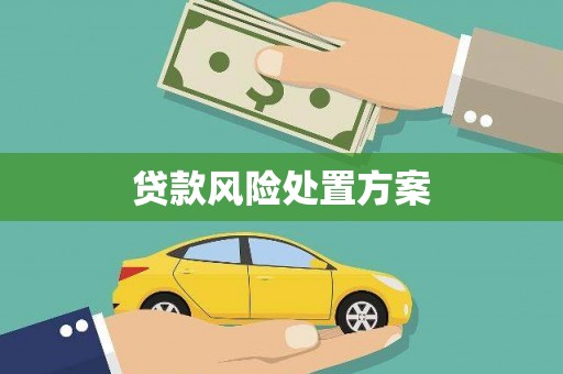 应县贷款风险处置方案