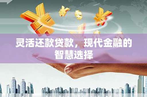 应县灵活还款贷款，现代金融的智慧选择