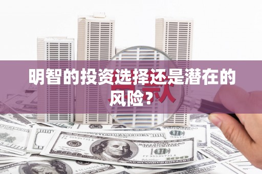 应县明智的投资选择还是潜在的风险？