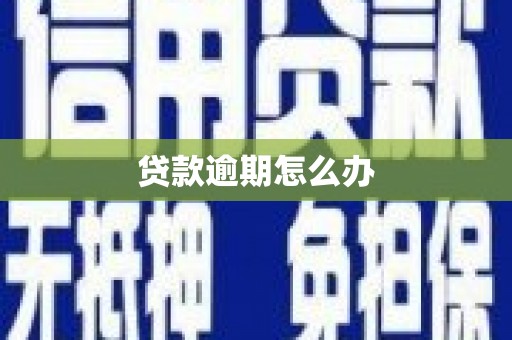 应县贷款逾期怎么办