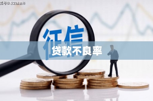 应县贷款不良率