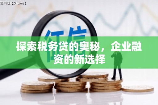 应县探索税务贷的奥秘，企业融资的新选择