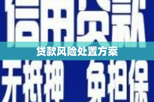 应县贷款风险处置方案