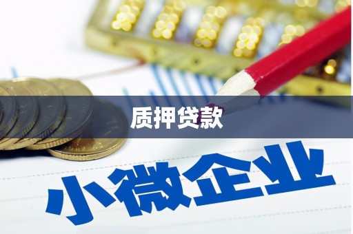 应县质押贷款
