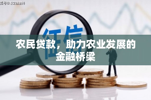应县农民贷款，助力农业发展的金融桥梁