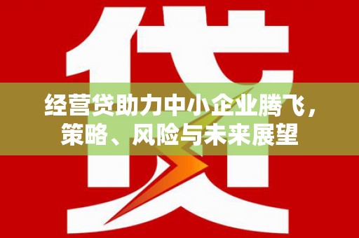 应县经营贷助力中小企业腾飞，策略、风险与未来展望