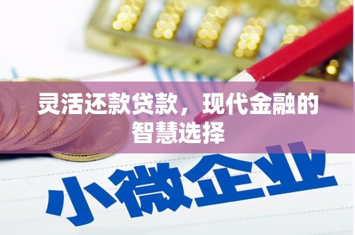 应县灵活还款贷款，现代金融的智慧选择