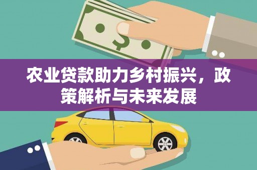 应县农业贷款助力乡村振兴，政策解析与未来发展