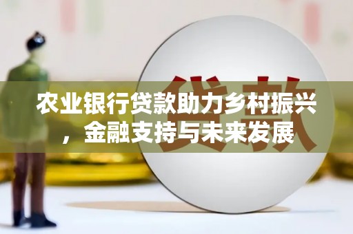 应县农业银行贷款助力乡村振兴，金融支持与未来发展
