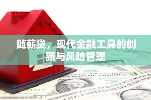 应县随薪贷，现代金融工具的创新与风险管理