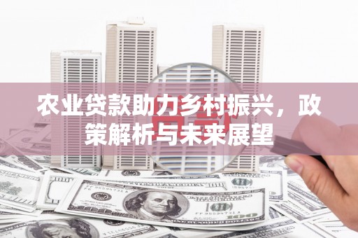 应县农业贷款助力乡村振兴，政策解析与未来展望