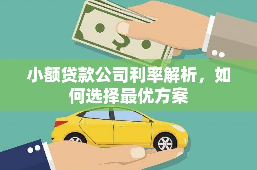 应县小额贷款公司利率解析，如何选择最优方案