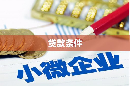 应县贷款条件