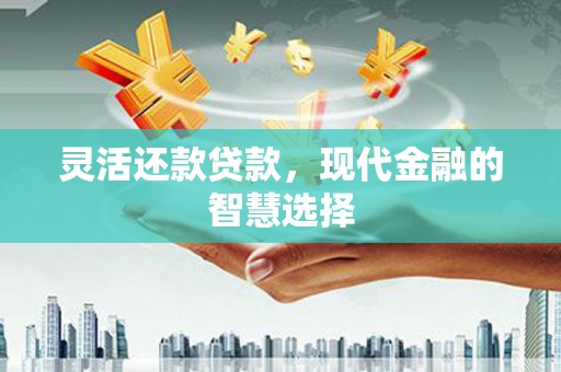 应县灵活还款贷款，现代金融的智慧选择