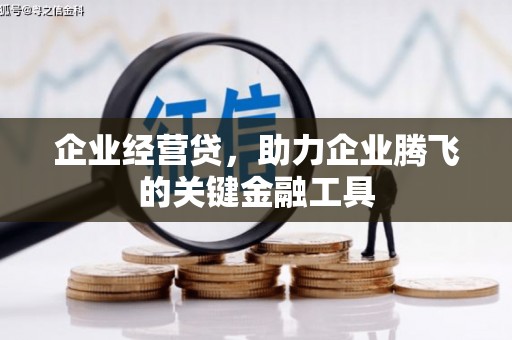 应县企业经营贷，助力企业腾飞的关键金融工具