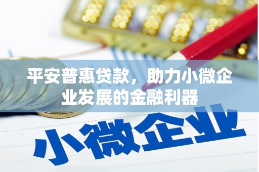 应县平安普惠贷款，助力小微企业发展的金融利器