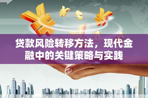 应县贷款风险转移方法，现代金融中的关键策略与实践