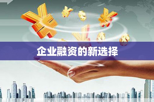 应县企业融资的新选择