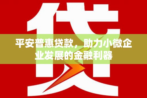 应县平安普惠贷款，助力小微企业发展的金融利器