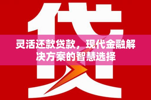 应县灵活还款贷款，现代金融解决方案的智慧选择