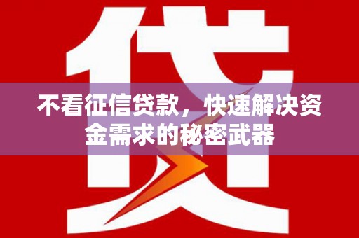 应县不看征信贷款，快速解决资金需求的秘密武器
