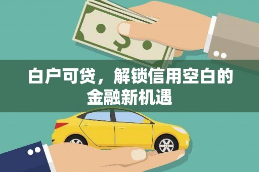 应县白户可贷，解锁信用空白的金融新机遇