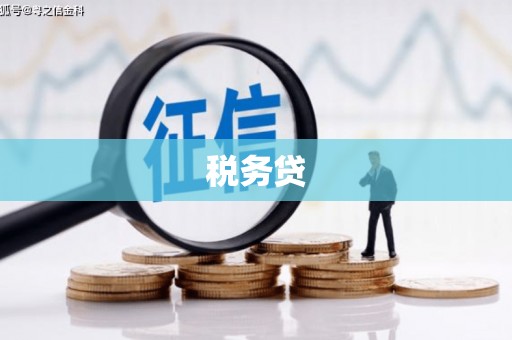 应县税务贷