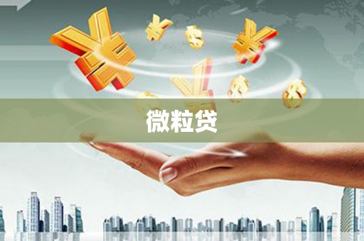 应县微粒贷