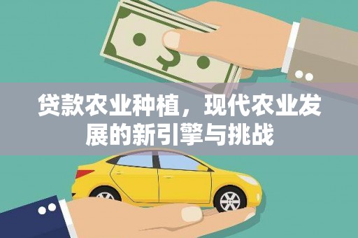 应县贷款农业种植，现代农业发展的新引擎与挑战