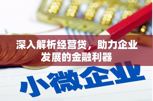 应县深入解析经营贷，助力企业发展的金融利器