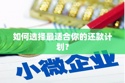 应县如何选择最适合你的还款计划？