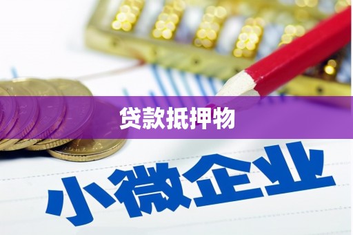 应县贷款抵押物
