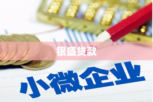 应县银盛贷款