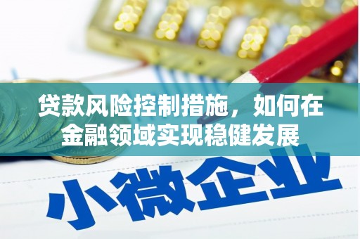 应县贷款风险控制措施，如何在金融领域实现稳健发展
