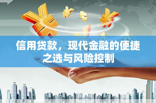应县信用贷款，现代金融的便捷之选与风险控制