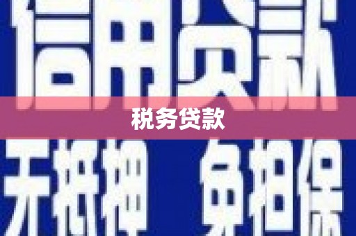 应县税务贷款