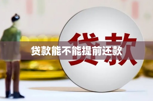 应县贷款能不能提前还款