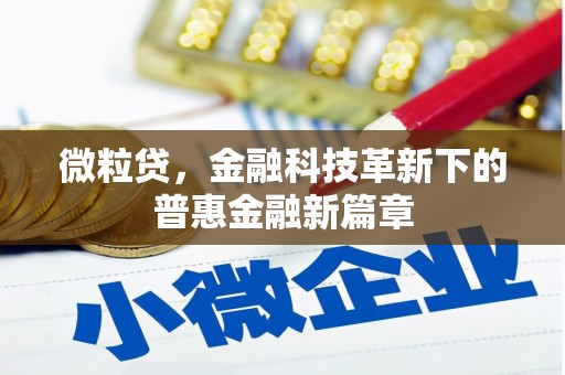应县微粒贷，金融科技革新下的普惠金融新篇章