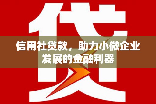 应县信用社贷款，助力小微企业发展的金融利器