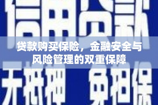 应县贷款购买保险，金融安全与风险管理的双重保障