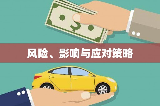 应县风险、影响与应对策略