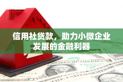 应县信用社贷款，助力小微企业发展的金融利器