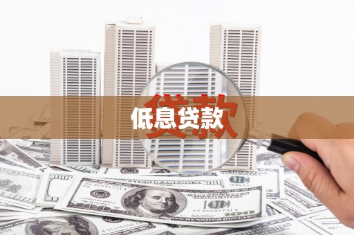 应县低息贷款