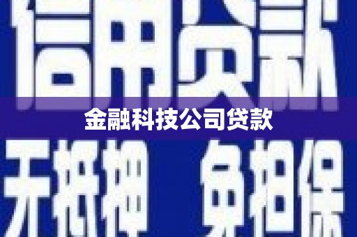 应县金融科技公司贷款