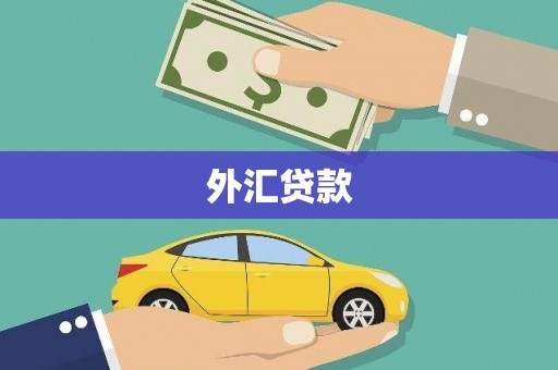 应县外汇贷款
