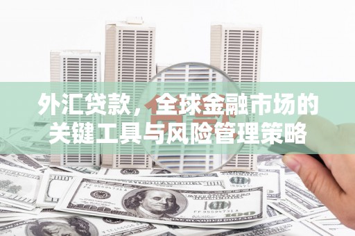 应县外汇贷款，全球金融市场的关键工具与风险管理策略