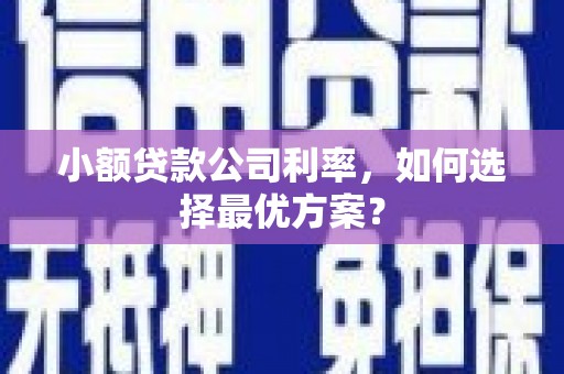 应县小额贷款公司利率，如何选择最优方案？